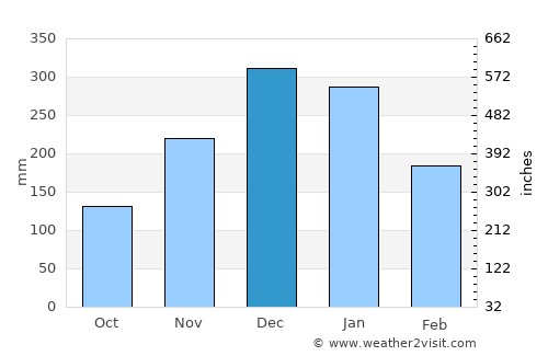São Joaquim de Bicas average rain in December