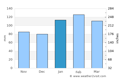 São Lourenço do Sul average rain in January