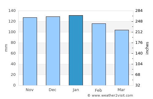 São Roque do Pico average rain in January