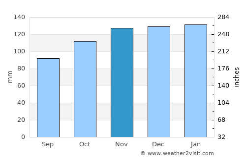 São Roque do Pico average rain in November