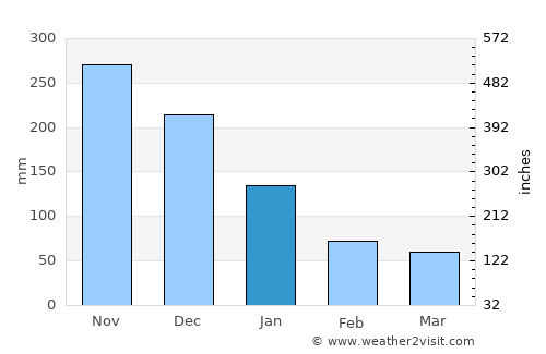 Saravia average rain in January