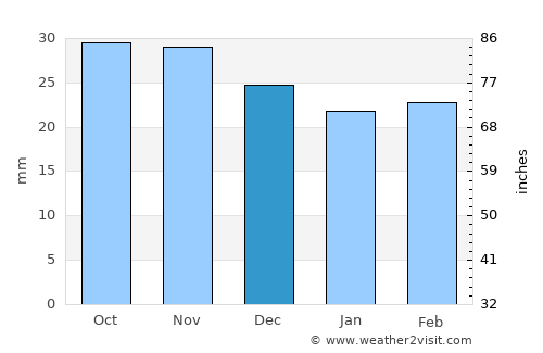 Saray average rain in December
