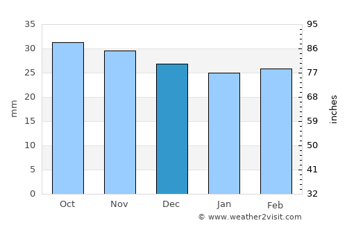 Satu Mare average rain in December