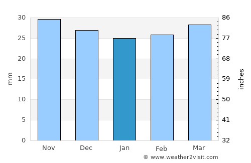 Satu Mare average rain in January