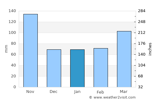 Savanna-la-Mar average rain in January