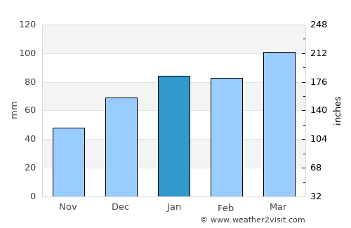 Savannah average rain in January