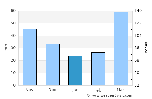 Savannah average rain in January