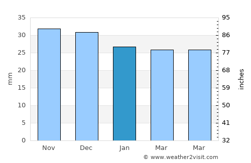 Săveni average rain in January