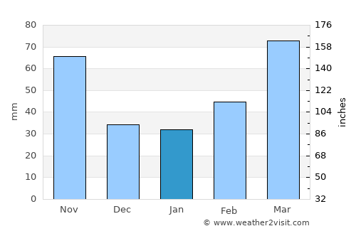 Sayama average rain in January