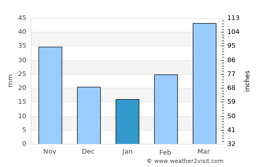 Sayre average rain in January