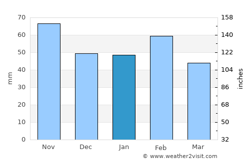 Seguin average rain in January
