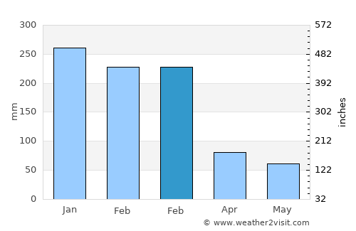 Selasaan average rain in February