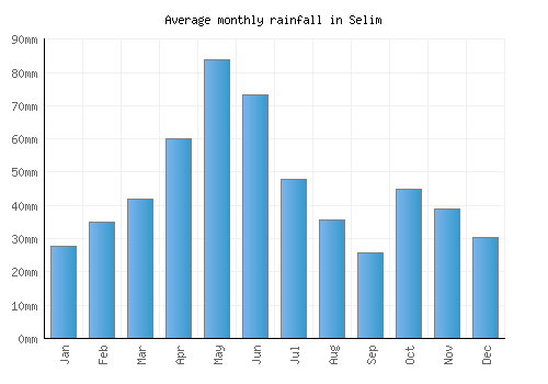 Selim monthly rainfall chart (mm)