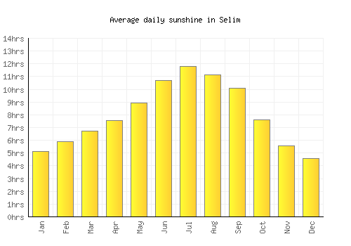 Selim average daily sunshine chart