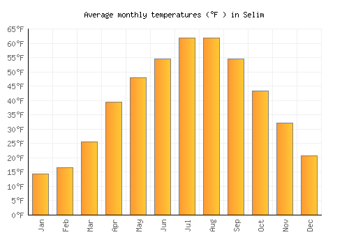 Selim average temperature chart (Fahrenheit)