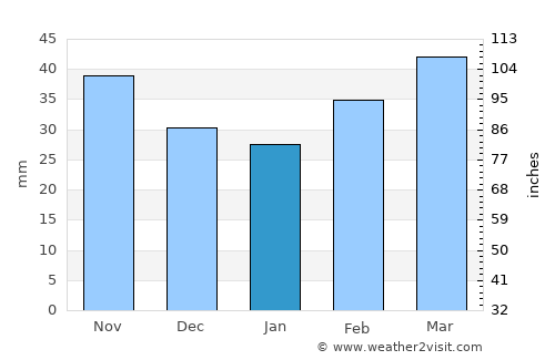 Selim average rain in January