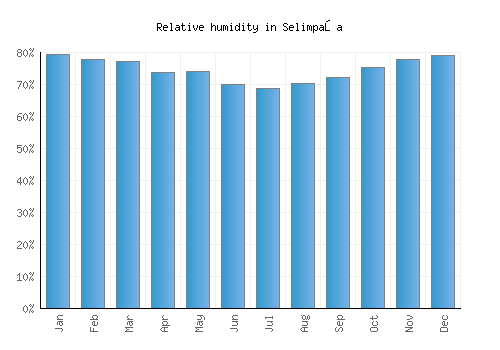Selimpaşa relative humidity averages