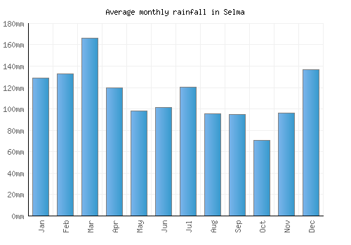 Selma monthly rainfall chart (mm)