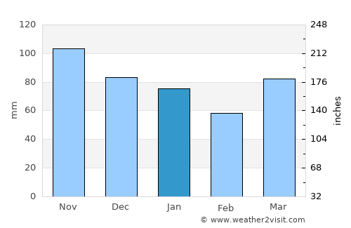 Selnica average rain in January