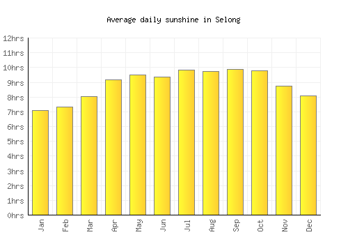 Selong average daily sunshine chart