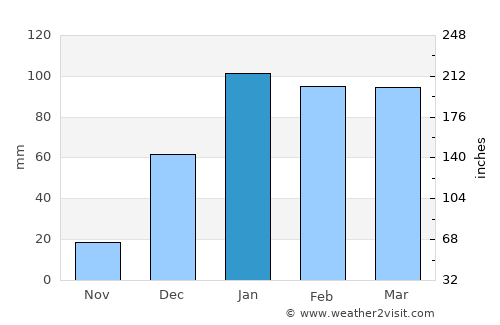 Seoni average rain in January