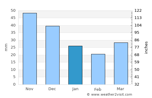 Shagonar average rain in January
