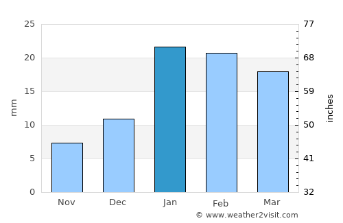 Shahdol average rain in January