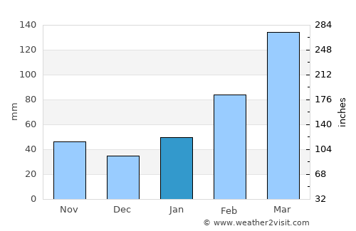 Shajiang average rain in January