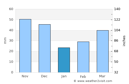 Shakhtersk average rain in January