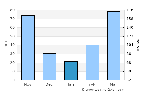 Shama Junction average rain in January