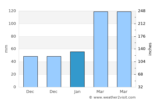Shamen average rain in January