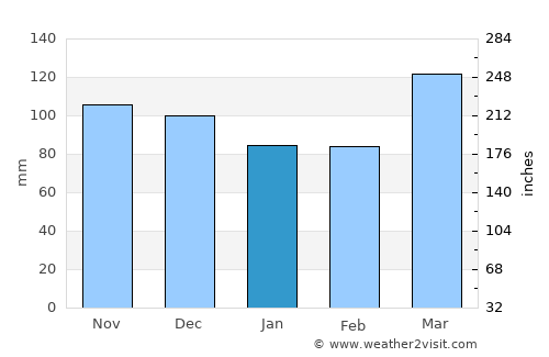 Shawneetown average rain in January