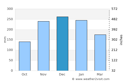 Shelton average rain in December