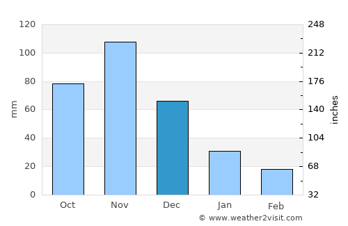 Shimoni average rain in December