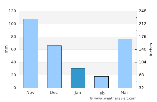 Shimoni average rain in January