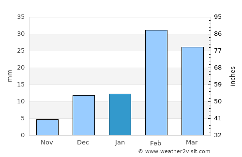 Shināş average rain in January