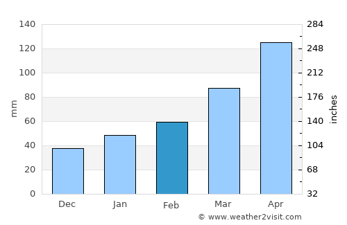 Shinichi average rain in February