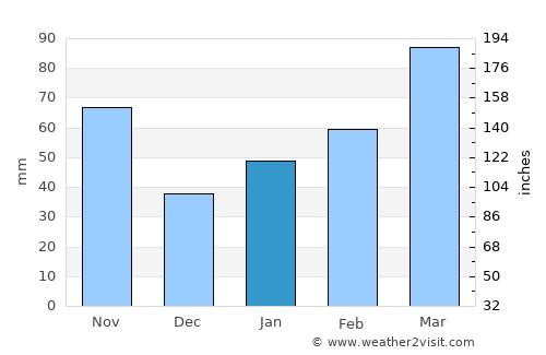 Shinichi average rain in January