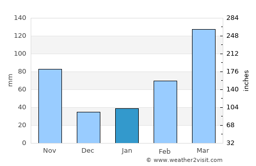 Shinshiro average rain in January