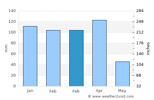 Shinyanga average rain in February