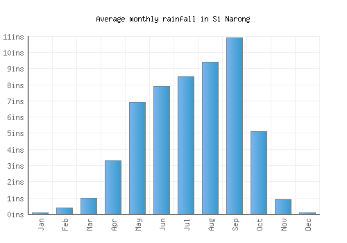 Si Narong monthly rainfall chart (inches)