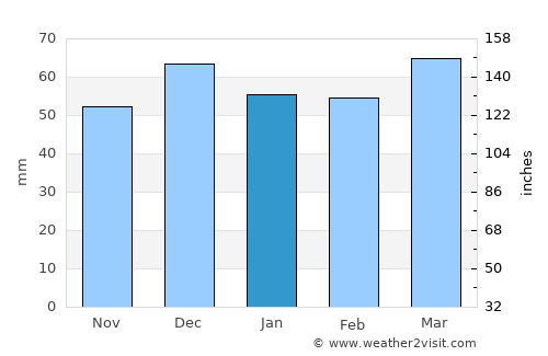 Silverton average rain in January
