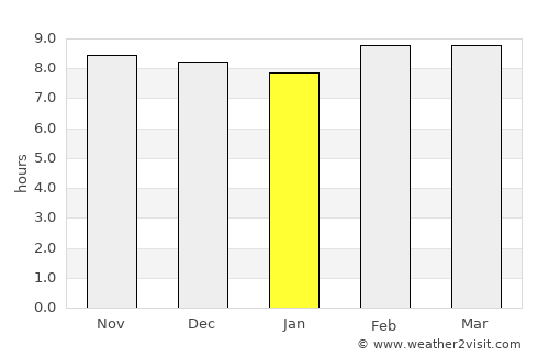 Singrauli average rain in January