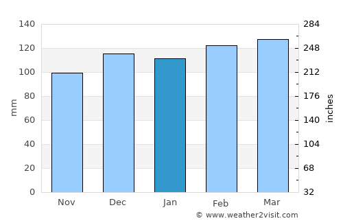 Şırnak average rain in January