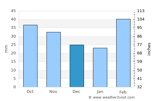 Şirvan average rain in December