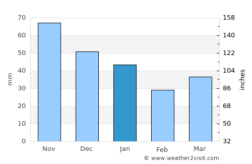 Skagen average rain in January