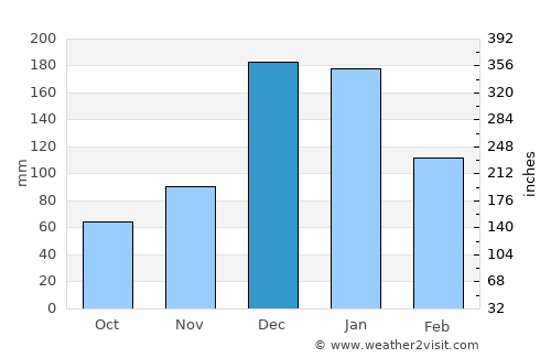Skeldon average rain in December