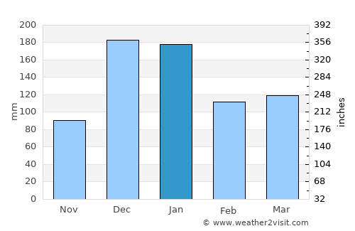 Skeldon average rain in January