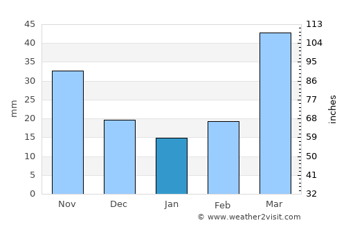 Slayton average rain in January