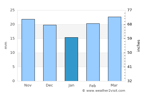 Snyder average rain in January